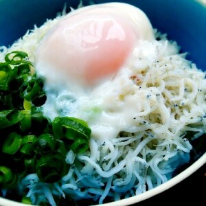 あっという間の賄い丼☆しらす丼